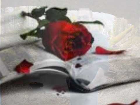 Dj CaNeR SİVEREKLİ KADİR