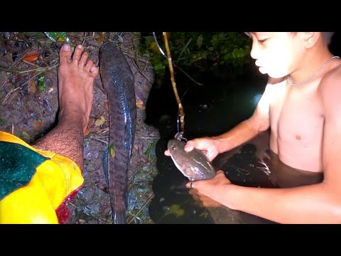 SUBRANG LAKI NA DALAG NAHULI NAMIN SA PATUKBA