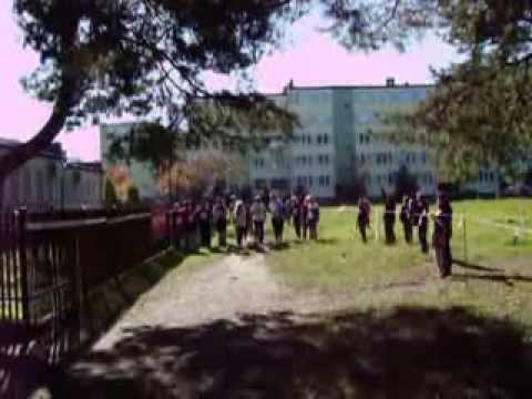 Mistrzostwa Gminy Małkinia w biegach przełajowych