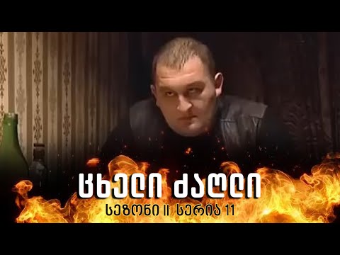 ცხელი ძაღლი | სეზონი 2 სერია 11