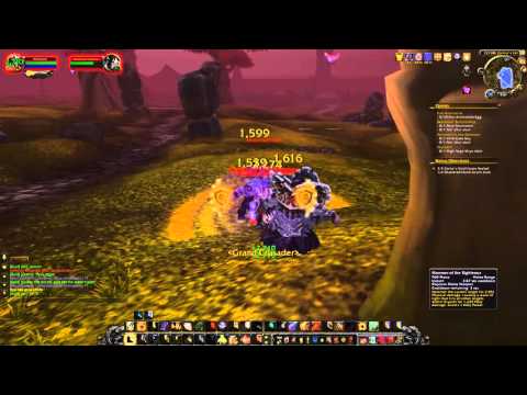 Bonus Objective: Zorkra's Fall (WoW, human, Paladin)