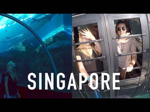 ADVENTURES IN SINGAPORE