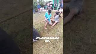 Download lagu sang,jawara,tarik,tambang mp3