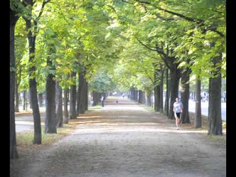 Misthaufen - Im Prata