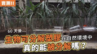 [問卦]聚乳酸、植纖維、PBS、澱粉塑膠是神還是魔