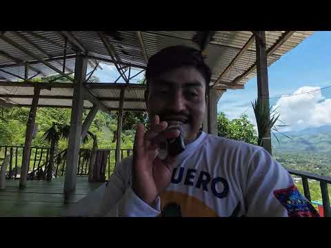 Mirador San Fernando | Vista panorámica en La Tinta, Alta Verapaz 🇬🇹🌄