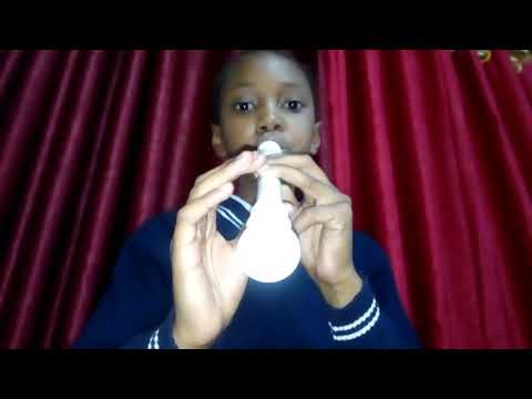 My heart will go on  by Celine Dion - Recorder instrument by Jaiden Kyria