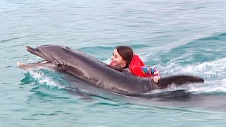 Barney - If I Lived Under the Sea - Song