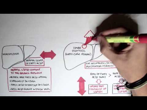 Cancer Introduction I