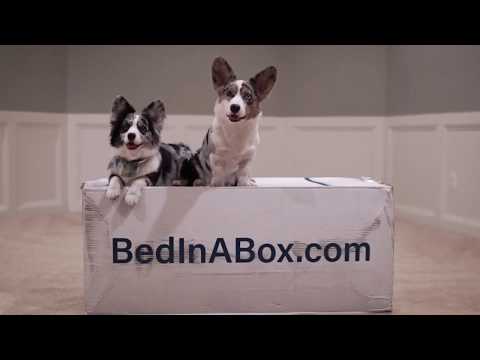 Navy Corgi BedInABox® Review | Dog tested!