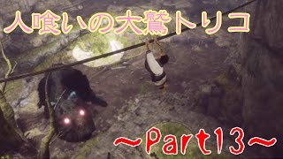 【実況】1人の少年と1匹の大鷲の新たなる神話【人喰いの大鷲トリコ】Part13