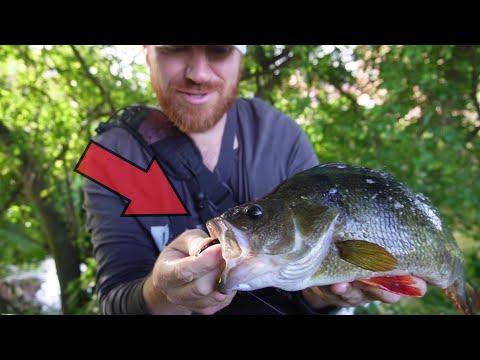 What a BEAST! New PB Caught On a Simple Method In a Tiny River!