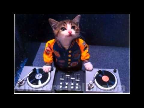 safri duo& jason derulo - watcha say vs played alive