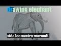 How to draw an elephant step by step. sida loo sawiro maroodi