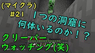 ここはクリーパー生成洞窟ですか？（笑）