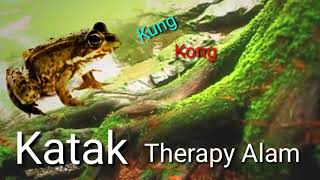 Download lagu Suara Kodok & Jangkrik [ Suasana Alam Pedesaan ] mp3