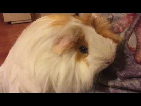 100 HAASTETTA: Lasten yliopisto