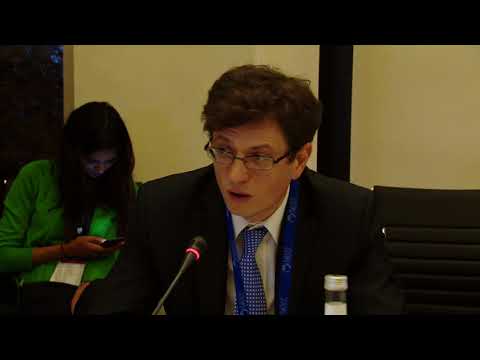 WPC2017 Parallel Workshop 4 - Yaroslav Lissovolik