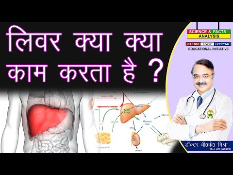 लिवर क्या क्या काम करता है ? || liver general function