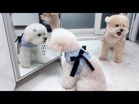 YouTube 썸네일