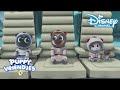 Puppy Vriendjes | Liedjes van Seizoen 2! ?? | Disney Channel NL