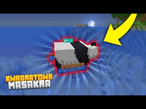 @TheEwron - misja PANDA (Kwadratowa Masakra SHOTY)