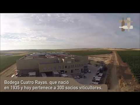 Bodega Cuatro Rayas