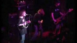 Gin Blossoms - Allison Road (Live in Chicago)