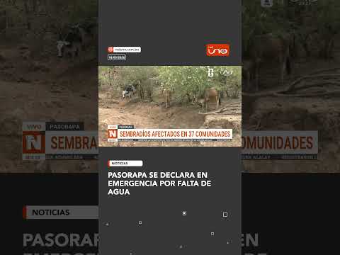 Más de mil familias afectadas por la sequía en Pasorapa