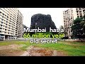 Gilbert Hill In Andheri Is A 66 Million Year Old Secret | Curly Tales