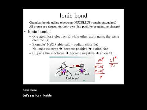 Chemical Bases of Life