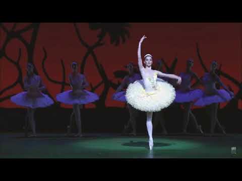 ROYAL BALLET Melissa Hamilton DON QUIXOTE Queen of the Dryads Ballet Magic