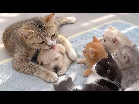 YouTube 썸네일