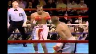 Roy Jones Jr. - Heart of a Champion [HQ]
