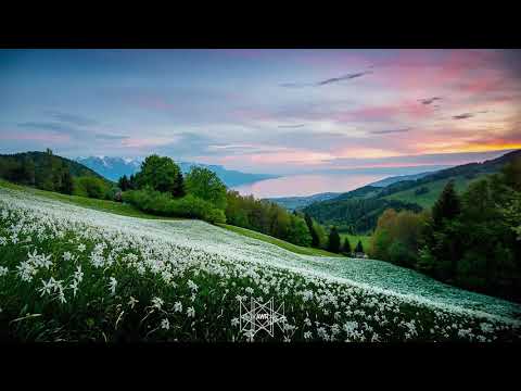 Roger Neill - Santa Barbara,1979 (MustbakK Remix)[AWR Release]