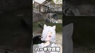 ポイント護ります!! #codbo7 #新人vtuber #cod女子