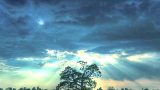 Dream Song (John Leckie Session) - Scott Matthews