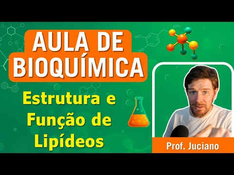 Structure and Function of Lipids - Higher Education Class