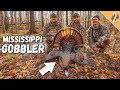 The PERFECT Turkey Hunt Mississippi Public Land Gobbler