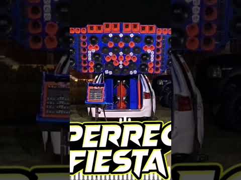 Perreo Fiesta Car Audio