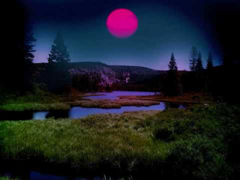 Pulser  feat. Josie - Undo The Silence (David Forbes Dub)