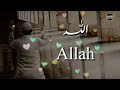 Muhabbat K Sajday Whatsapp Status Islamic Heart Touching Naat