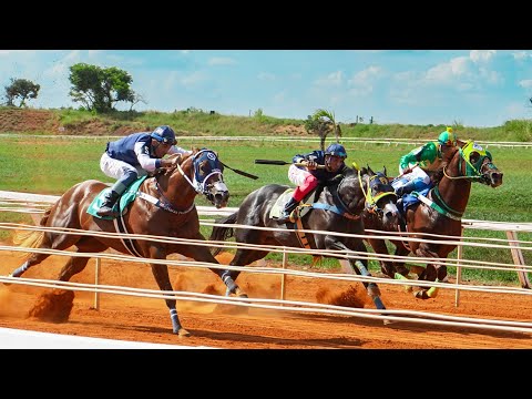 Especial: BRAZILIAN FUTURITY 2025 - Completo: classificatórias e final!