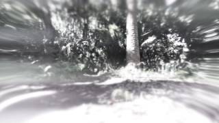 Eloise Laws & Smooth Flow - Don´t Move Don´t Blink (Veteran Tribute)