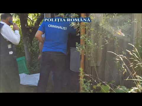 ARME ȘI MUNIȚIE DEȚINUTE ILEGAL, LA BOCȘA