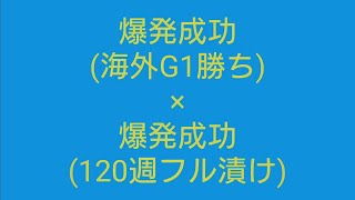 【スタホ4／スターホース4】 〜 爆発成功同士を配合した結果 〜