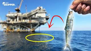 LIVE Sardines Under a MASSIVE Oil Rig — Fishing for Lunch in Deep CA Waters!