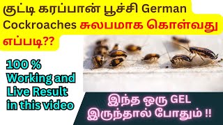 ✅ How to Kill Small German Cockroaches in Kitchen in Tamil? | Quick Solution