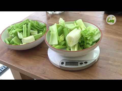 Omega Juicer 8228 und Rhino byZoo - Selleriesaft (Teil 1/2)
