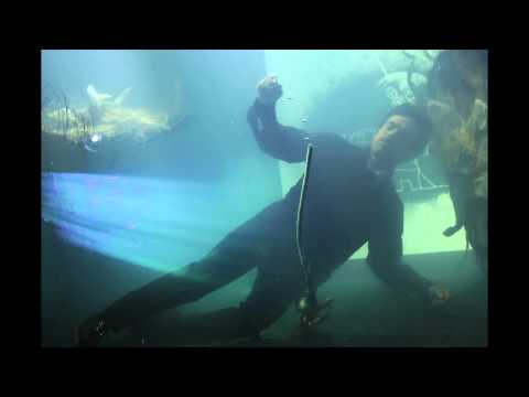 Etienne Charry - L'Ecume des jours (Mood Indigo) #1